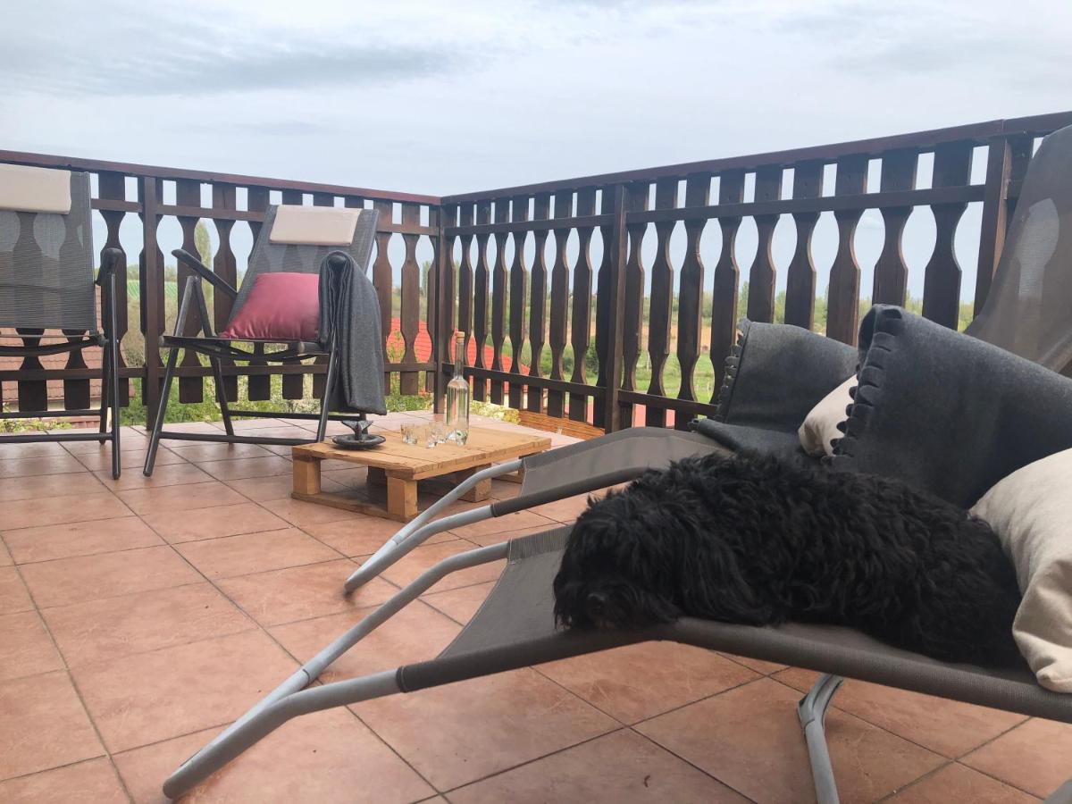 Balaton Apartman パロズナク エクステリア 写真