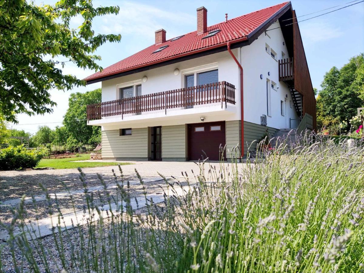 Balaton Apartman パロズナク エクステリア 写真